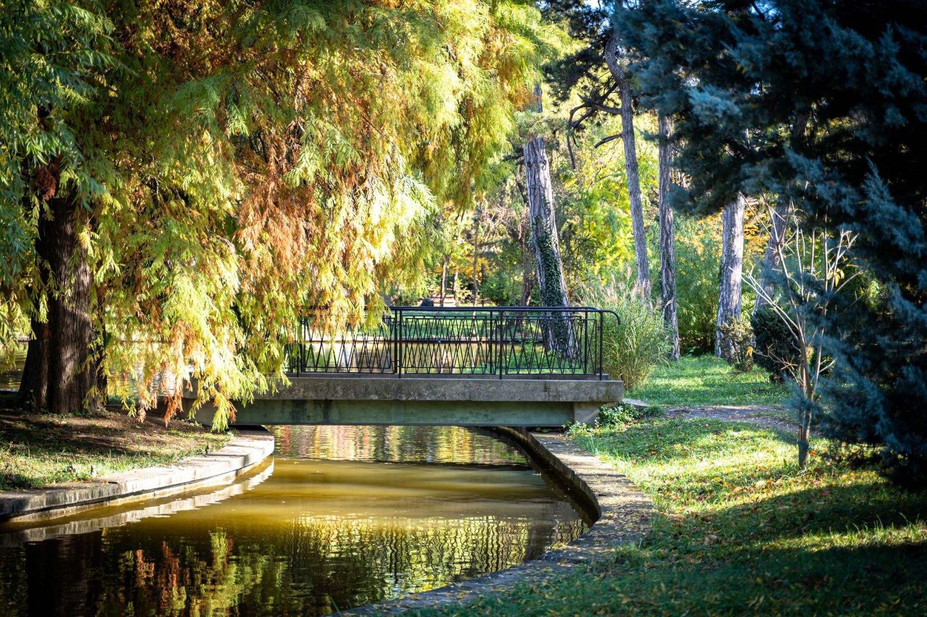 Park bridge in November